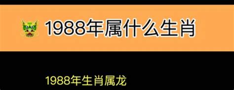 88年属什么|1988年属什么生肖